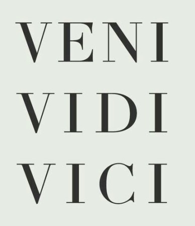 veni vidi vici